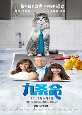 双乳上下晃动h